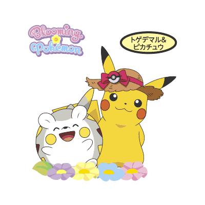 トゲデマル＆ピカチュウ