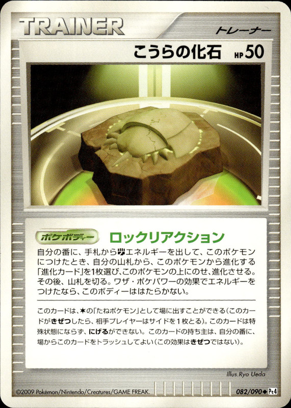 こうらの化石 (アンリミ)
