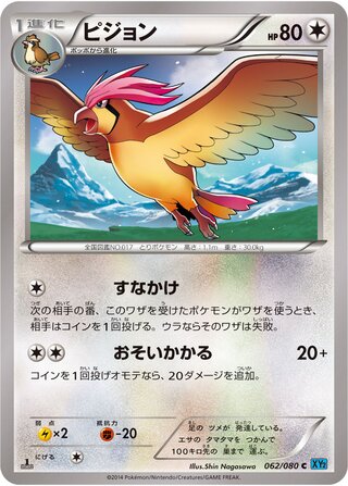 ピジョン（1ED）