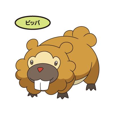 ビッパ