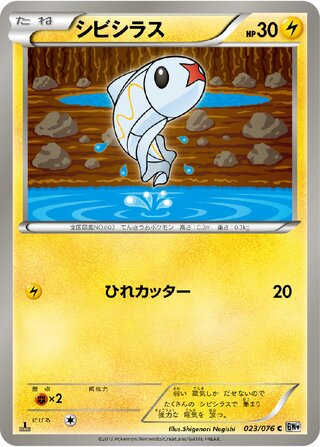 シビシラス（1ED）