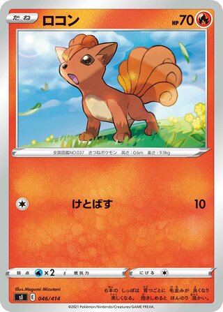 ロコン