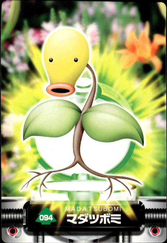 マダツボミ