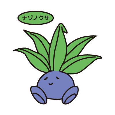 ナゾノクサ