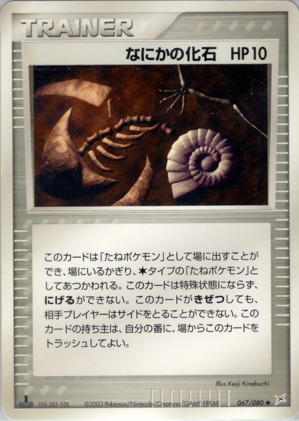 なにかの化石 (1ED)