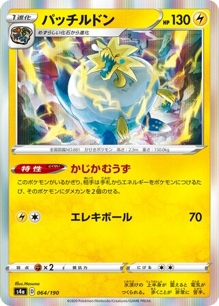 パッチルドン