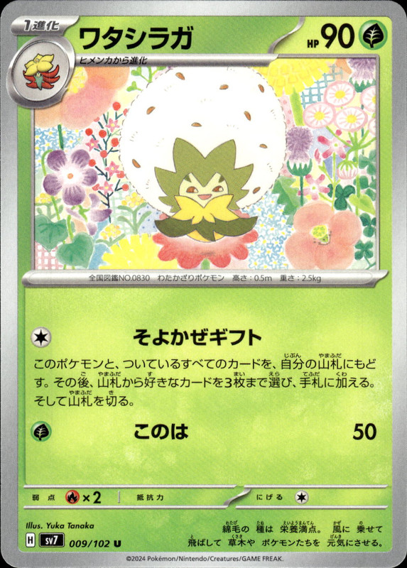 ワタシラガ