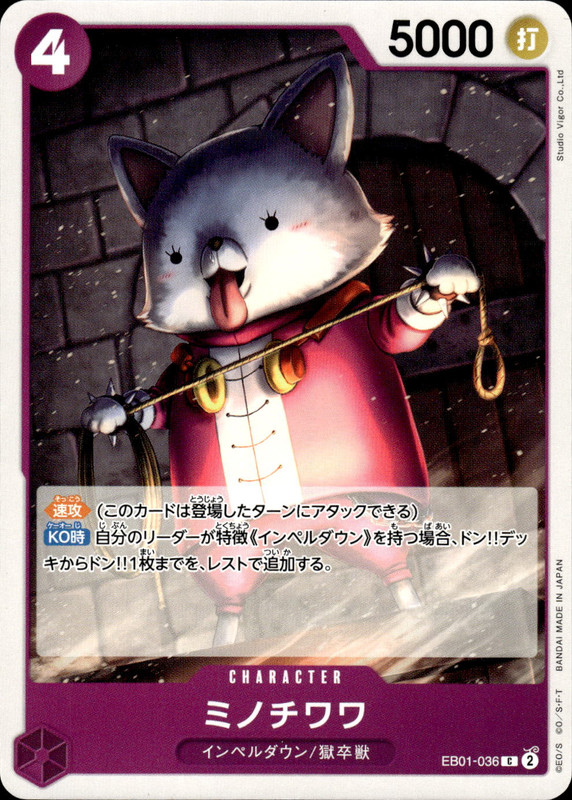 ミノチワワ