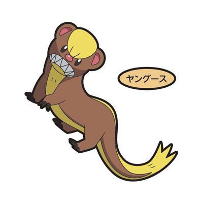 ヤングース
