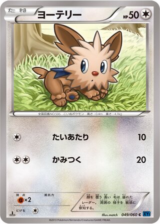 ヨーテリー（1ED）