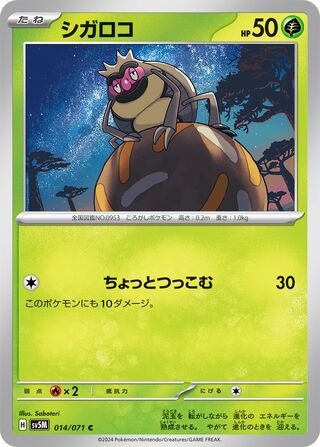 シガロコ