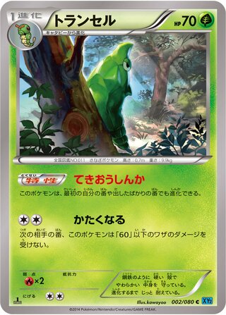 トランセル（1ED）