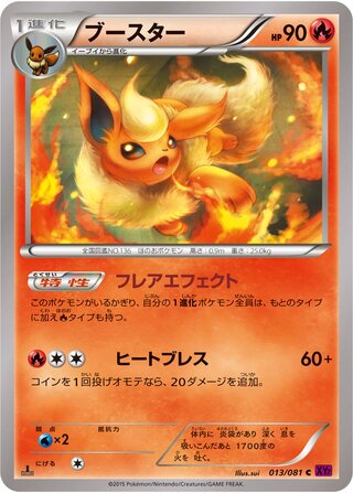 ブースター（1ED）