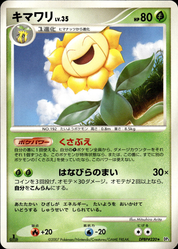キマワリ (1ED)