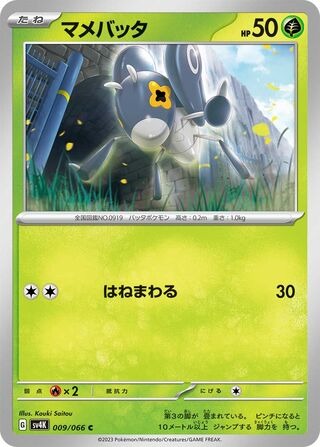 マメバッタ