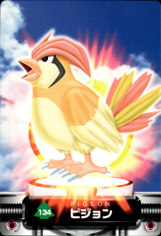 ピジョン