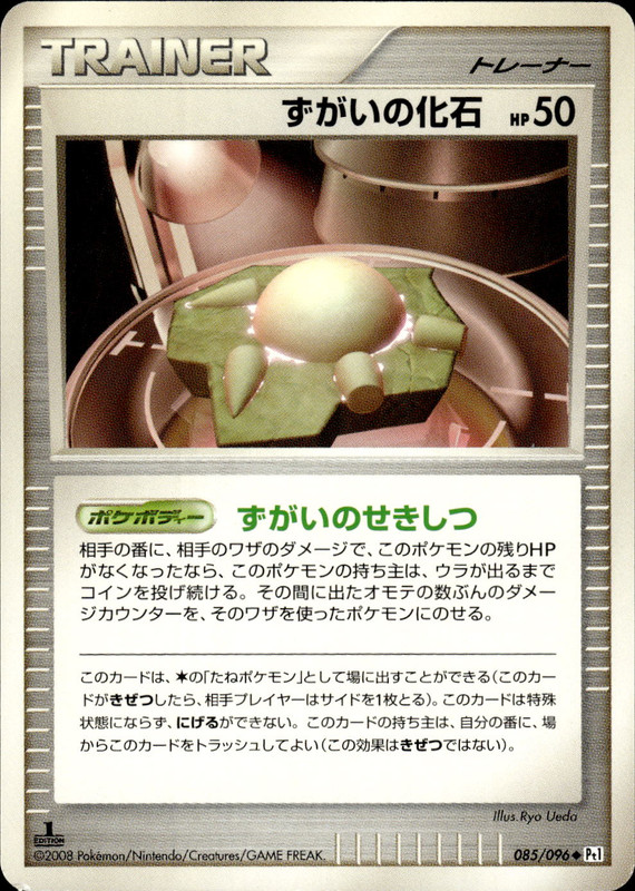 ずがいの化石 (1ED)