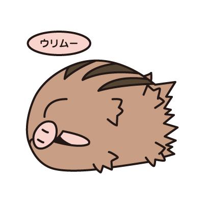ウリムー
