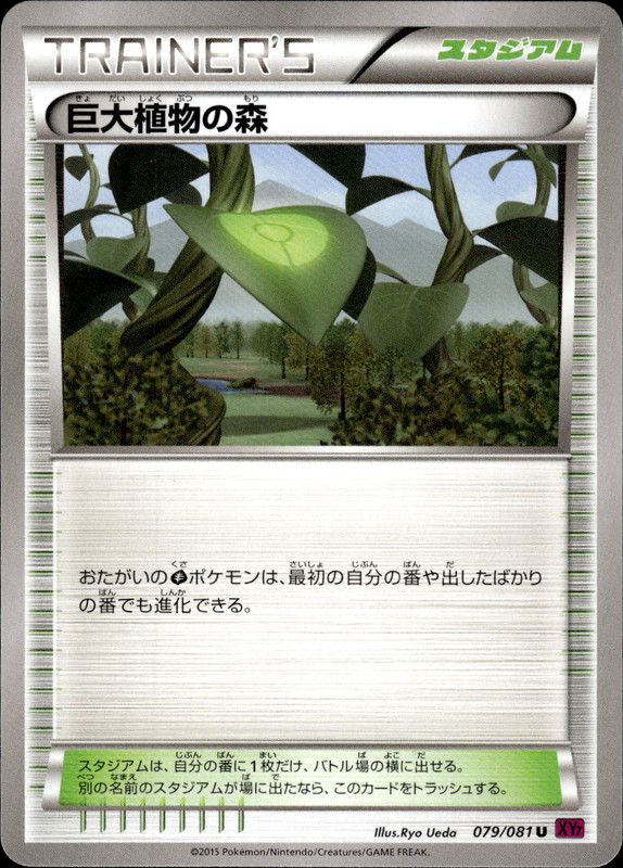 巨大植物の森（アンリミ）