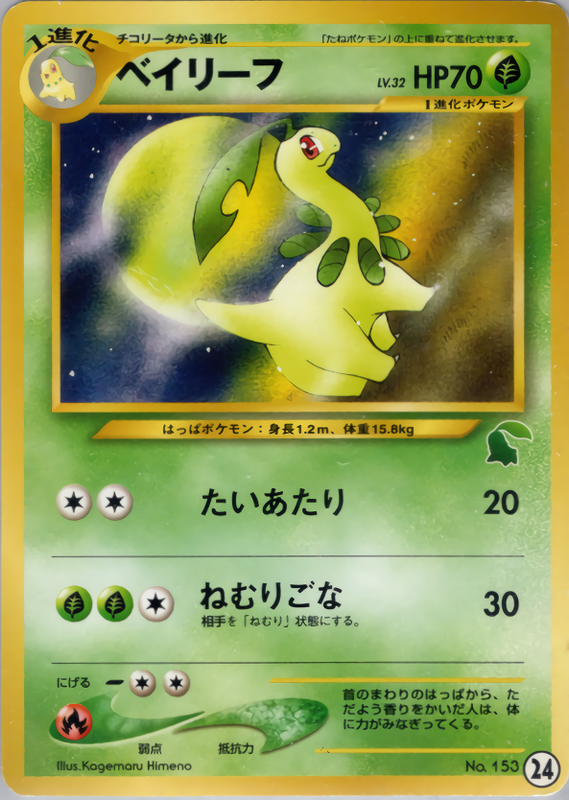 ベイリーフ