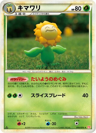 キマワリ (1ED)