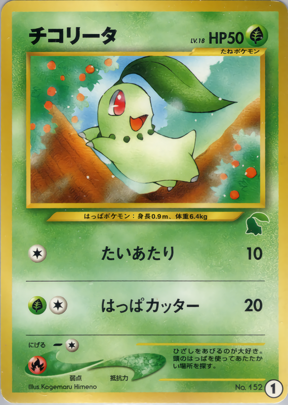 チコリータ