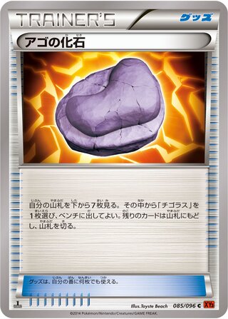 アゴの化石（1ED）