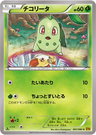 チコリータ（1ED）