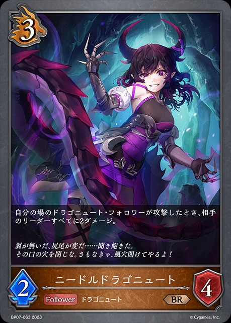 ニードルドラゴニュート