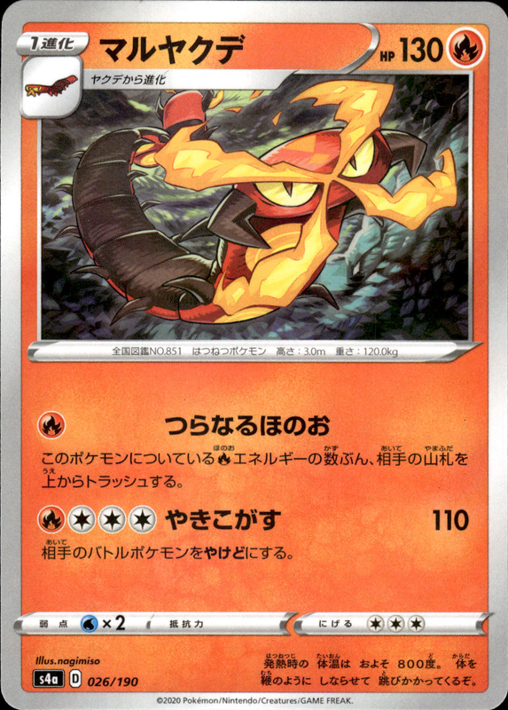 マルヤクデ (ミラー)