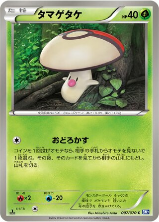 タマゲタケ (1ED)