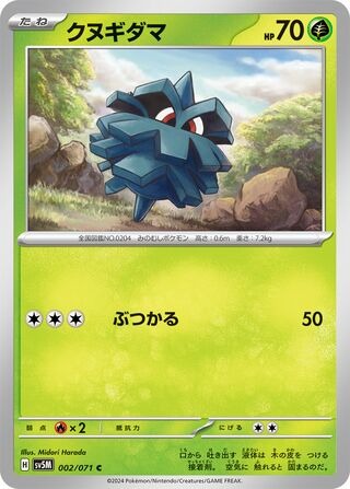 クヌギダマ