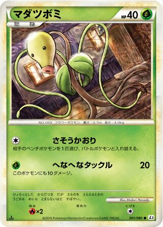 マダツボミ (1ED)