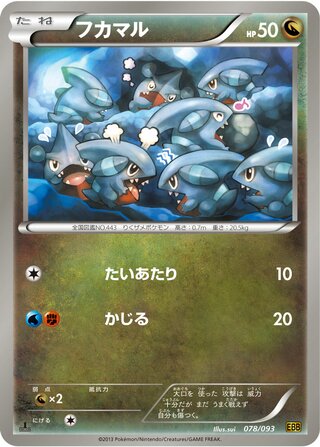 フカマル（1ED）
