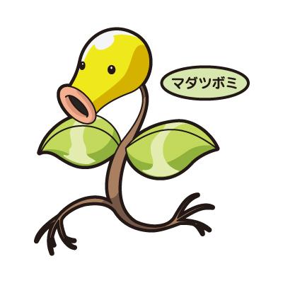 マダツボミ