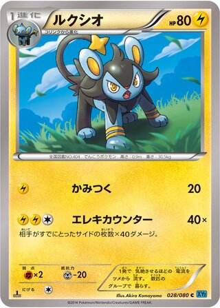ルクシオ（1ED）