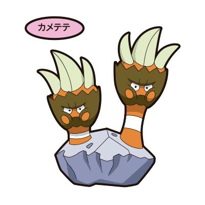 カメテテ