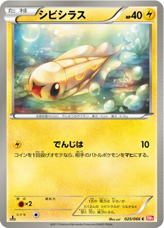 シビシラス(1ED)