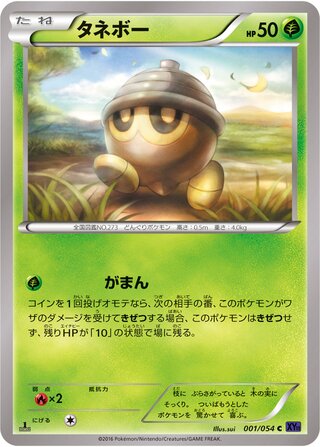 タネボー（1ED）