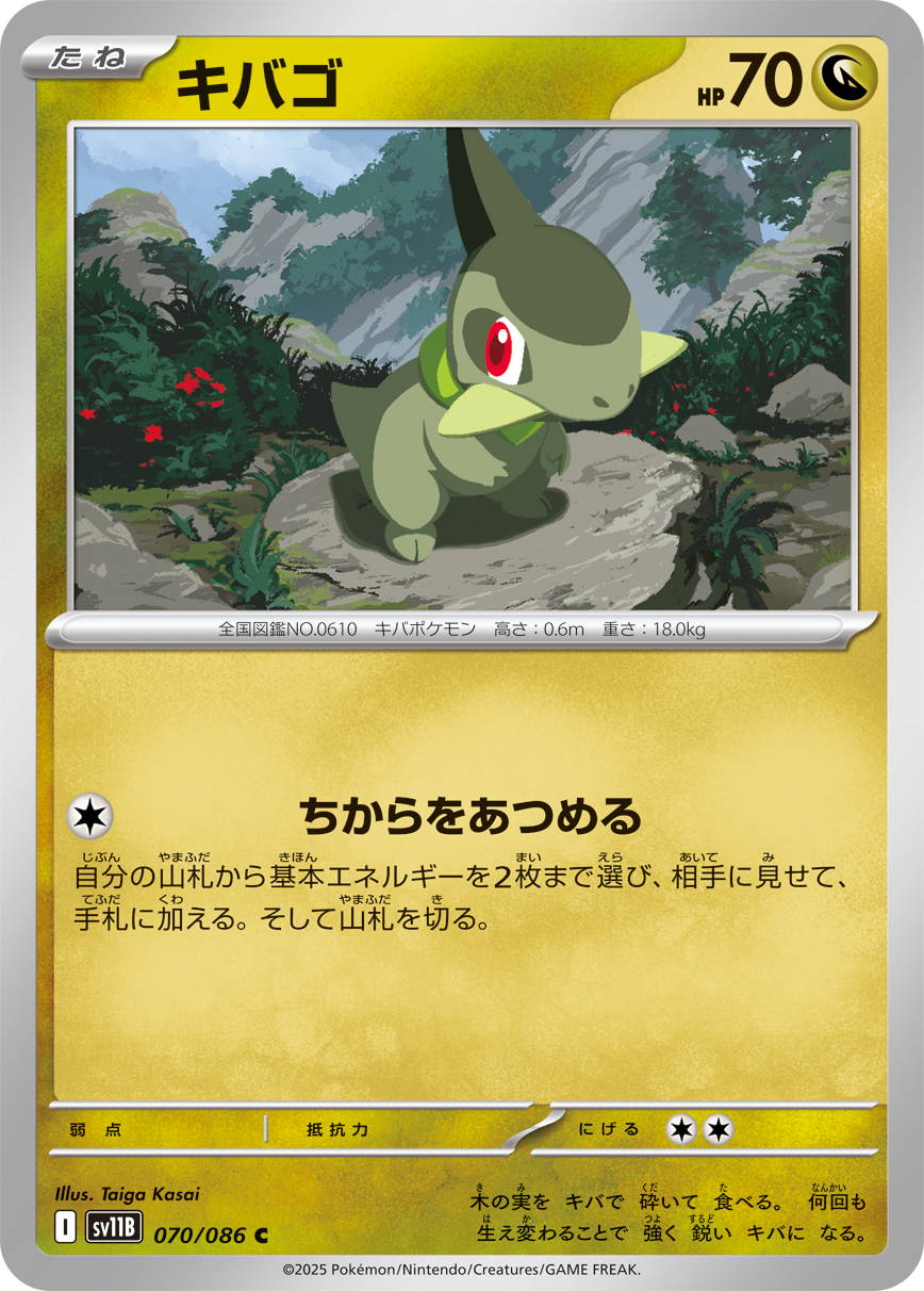 キバゴ