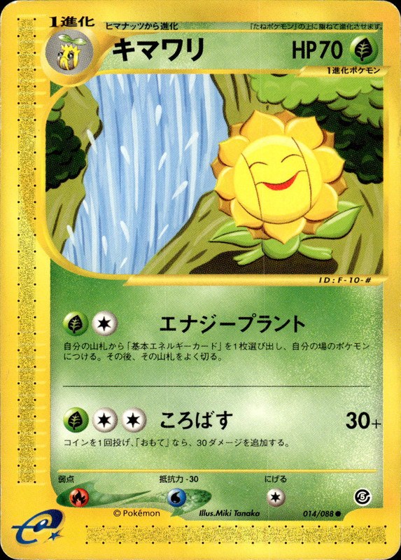 キマワリ (アンリミ)