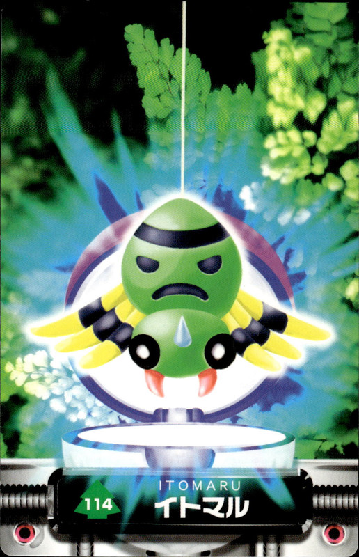 イトマル
