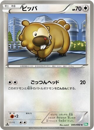 ビッパ（1ED）