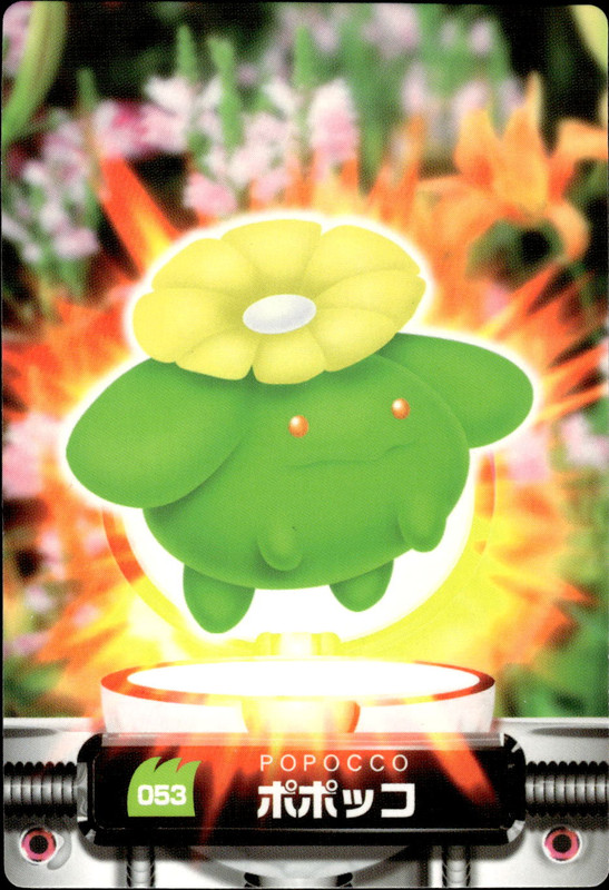 ポポッコ