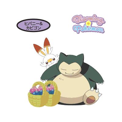 ヒバニー＆カビゴン