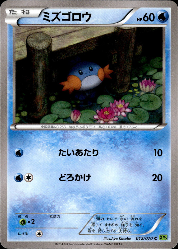 ミズゴロウ（アンリミ）