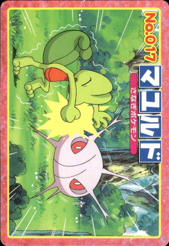 マユルド (キモリ)