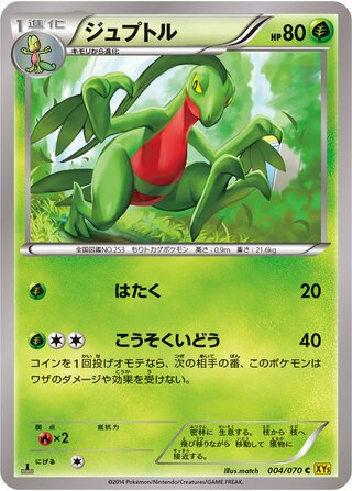 ジュプトル（1ED）
