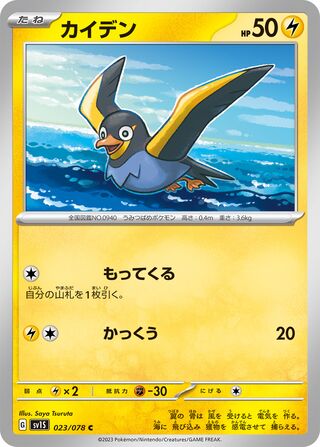 カイデン