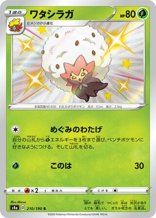 ワタシラガ